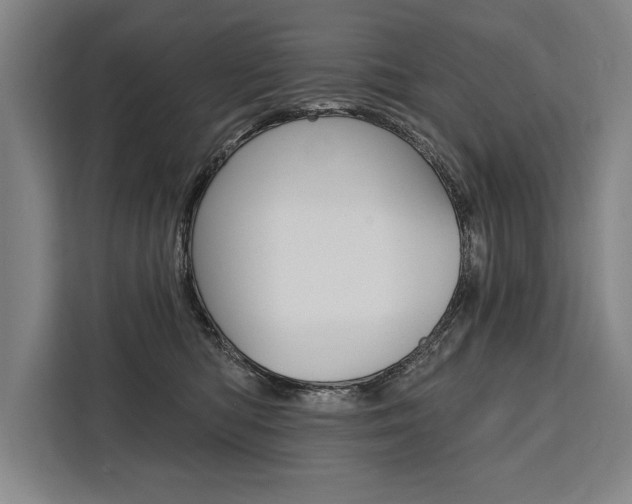 X0000111440422200907131024