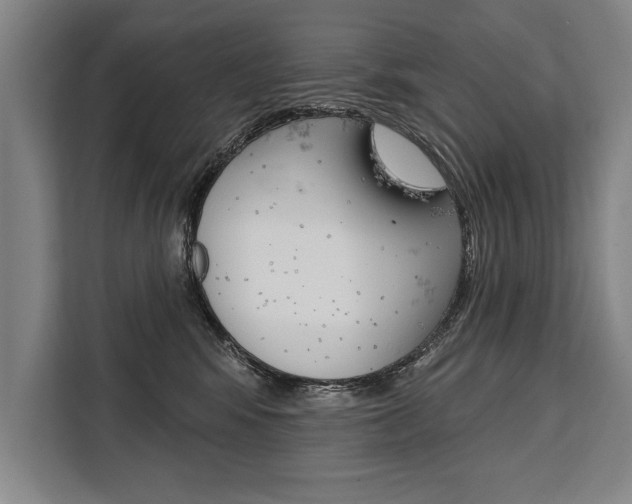X0000111440424200907131024