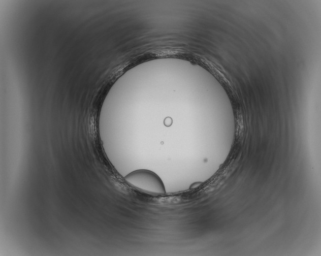 X0000111440426200907131024