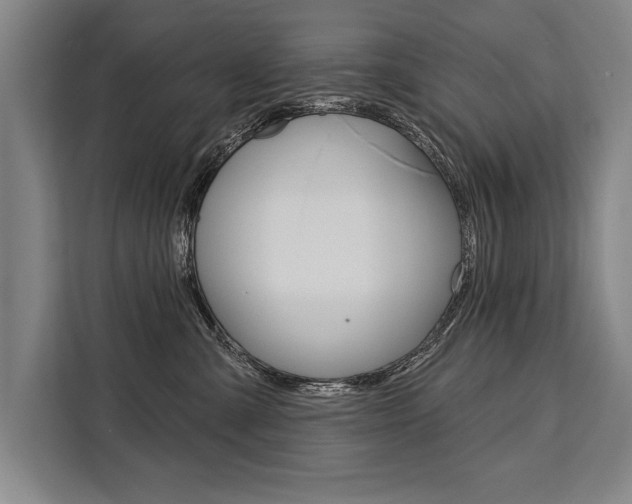 X0000111440427200907131024