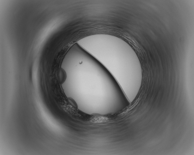 X0000111440429200907131024