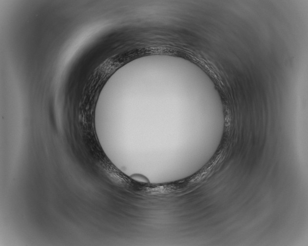 X0000111440430200907131024