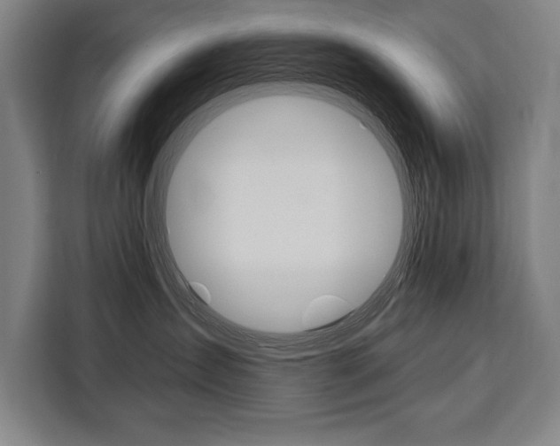 X0000111440431200907131024