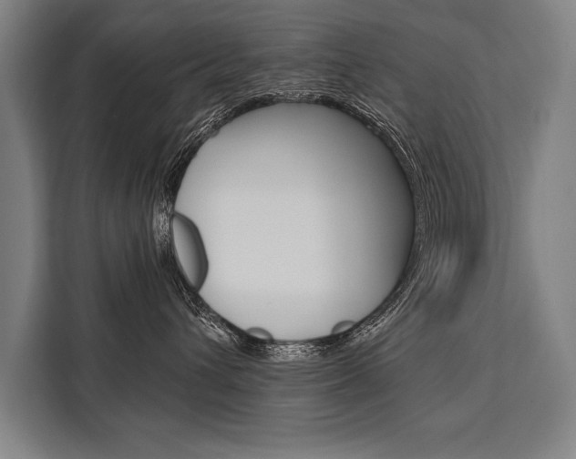 X0000111440432200907131024