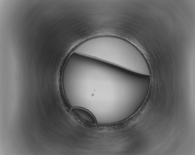X0000111440434200907131024