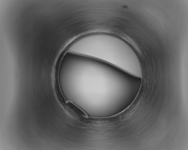 X0000111440436200907131024