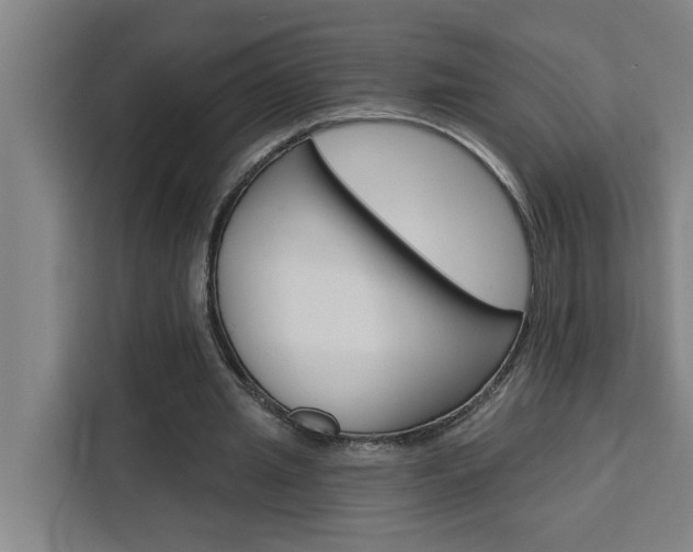 X0000111440437200907131024