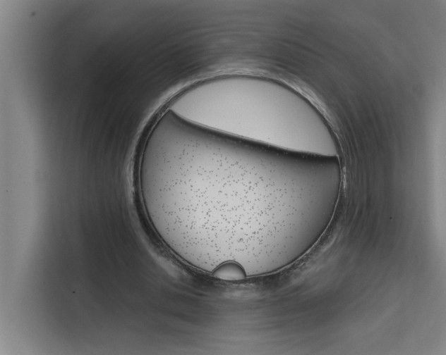 X0000111440438200907131024