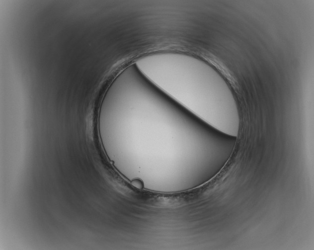X0000111440442200907131024