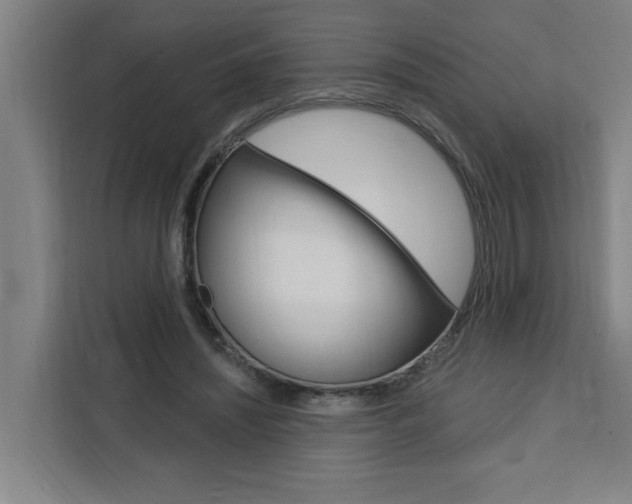 X0000111440444200907131024
