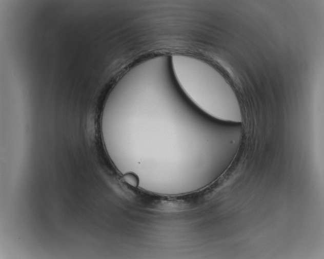 X0000111440455200907131024