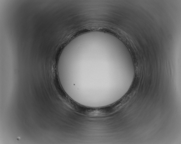 X0000111440460200907131024