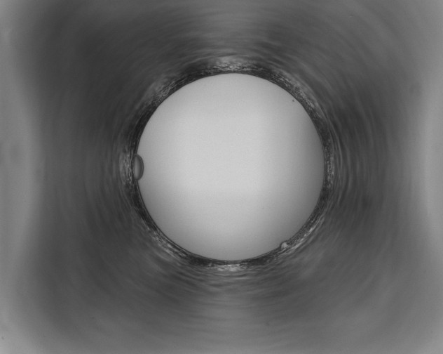 X0000111440473200907131024