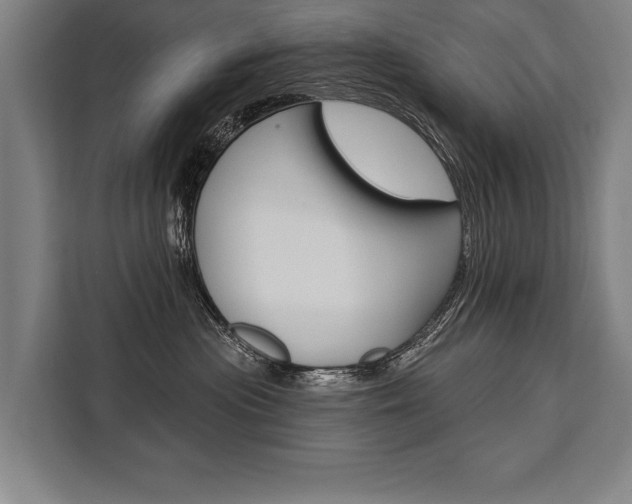 X0000111440477200907131024