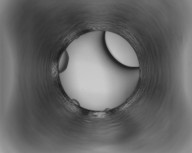 X0000111440478200907131024