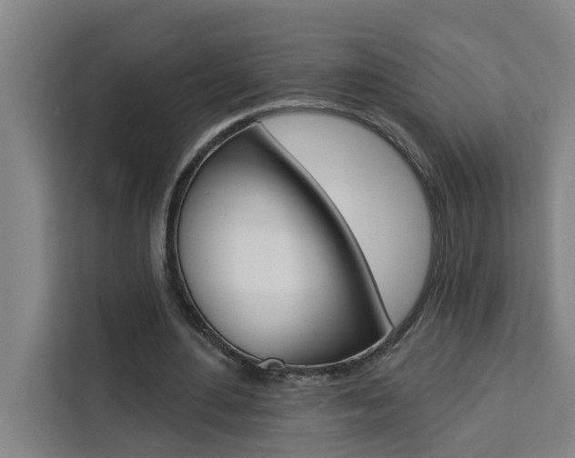 X0000111440484200907131024