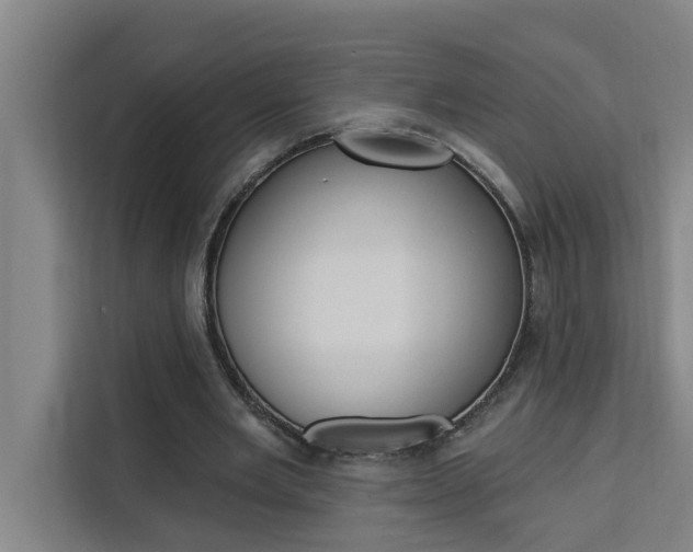 X0000111440485200907131024