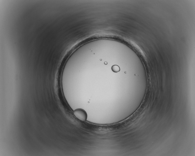X0000111440487200907131024