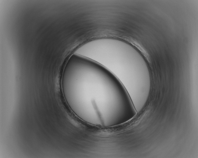 X0000111440489200907131024
