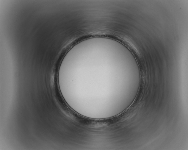 X0000111440491200907131024