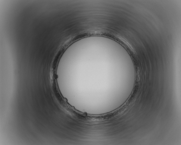 X0000111440494200907131023