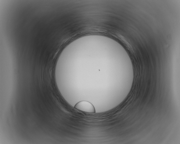 X0000111440500200907131023