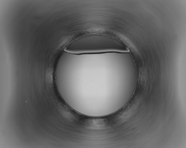 X0000111440501200907131023