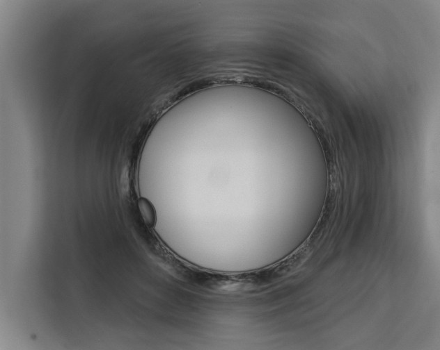 X0000111440504200907131023