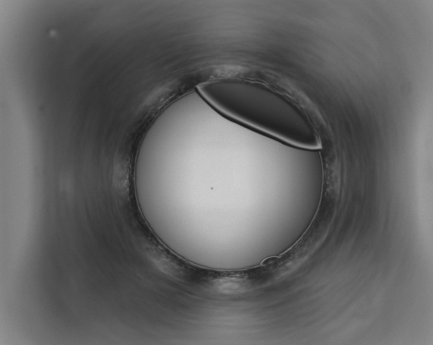 X0000111440505200907131023