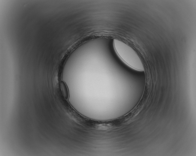 X0000111440508200907131023