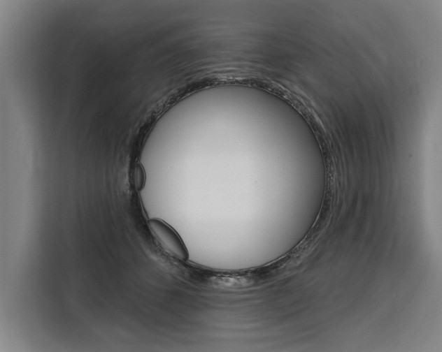 X0000111440512200907131023