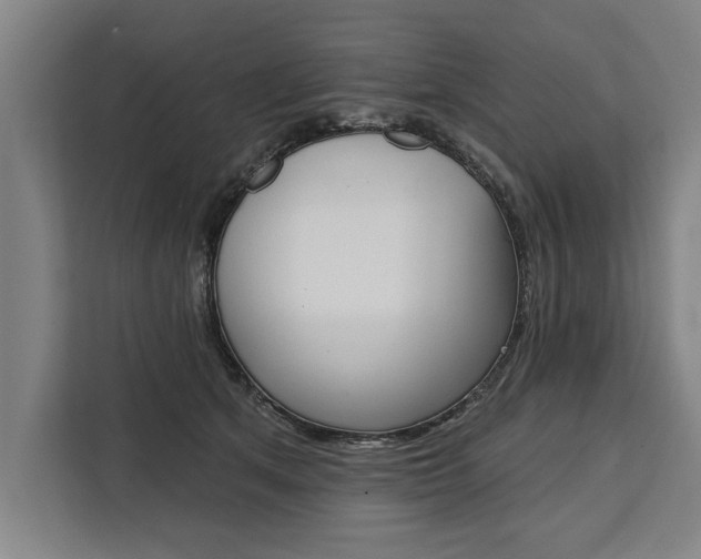 X0000111440513200907131023
