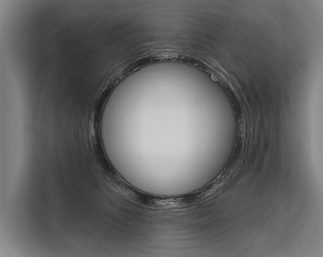 X0000111440516200907131023