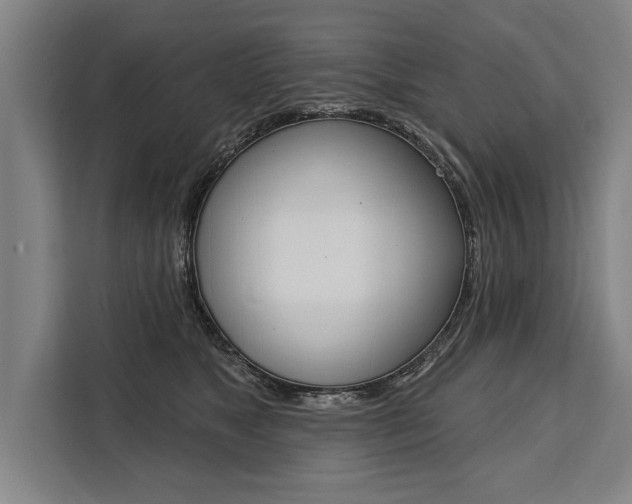 X0000111440517200907131023