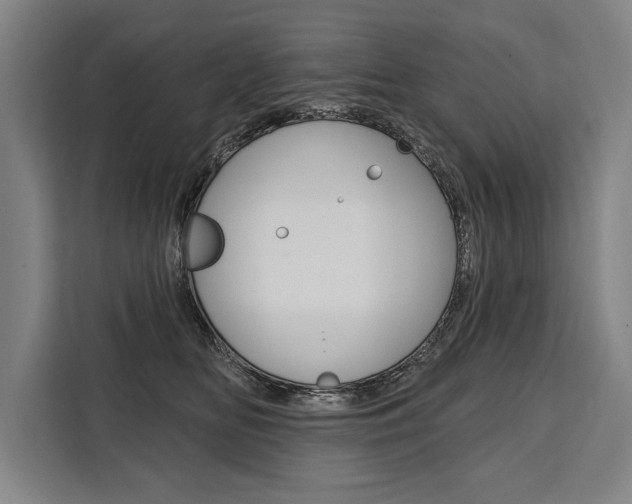 X0000111440518200907131023