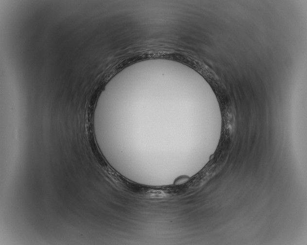 X0000111440519200907131023