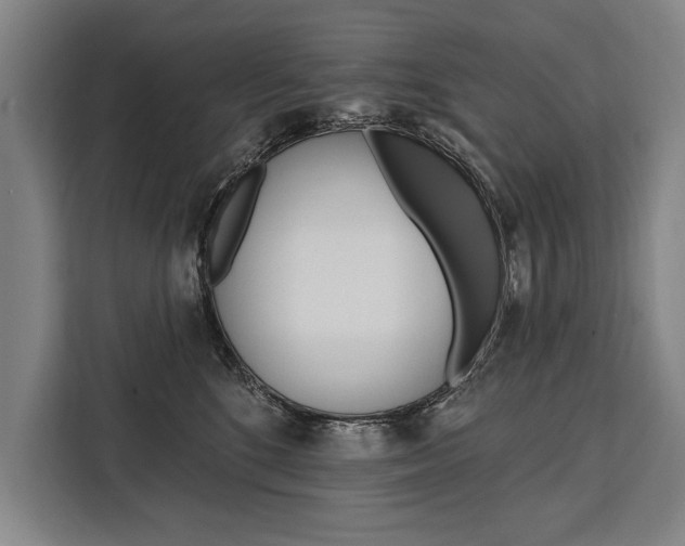 X0000111440520200907131023