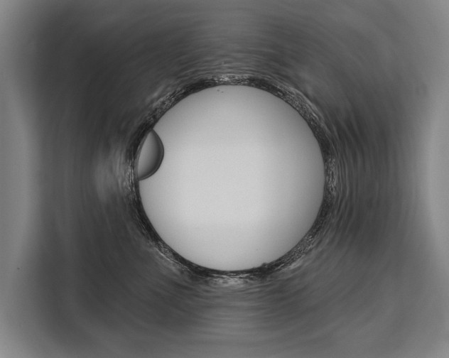 X0000111440523200907131023