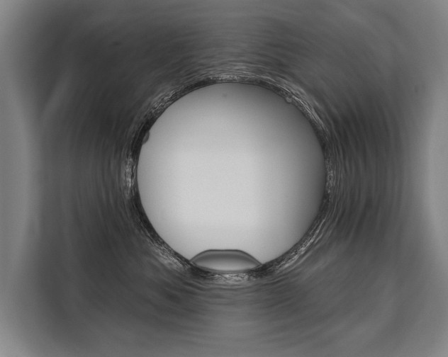 X0000111440525200907131023