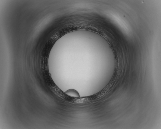 X0000111440527200907131023