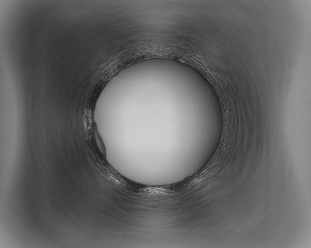 X0000111440528200907131023