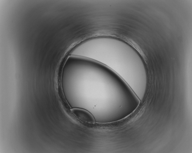 X0000111440530200907131022