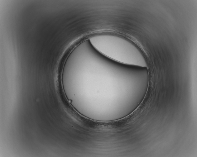 X0000111440535200907131022