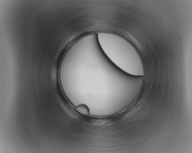 X0000111440542200907131023