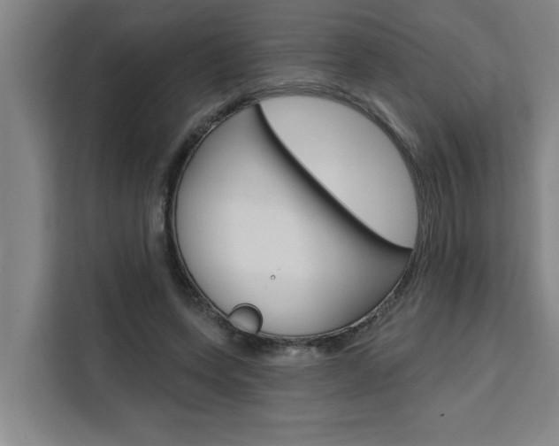 X0000111440543200907131023