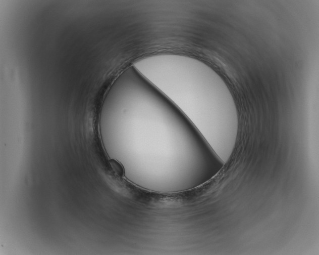 X0000111440546200907131023
