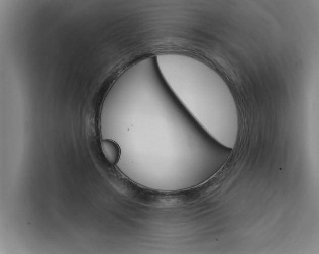 X0000111440547200907131023