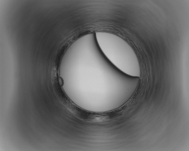 X0000111440555200907131023