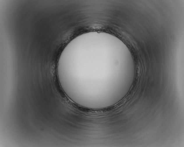 X0000111440559200907131023