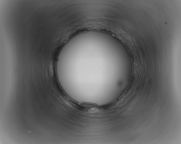 X0000111440562200907131023